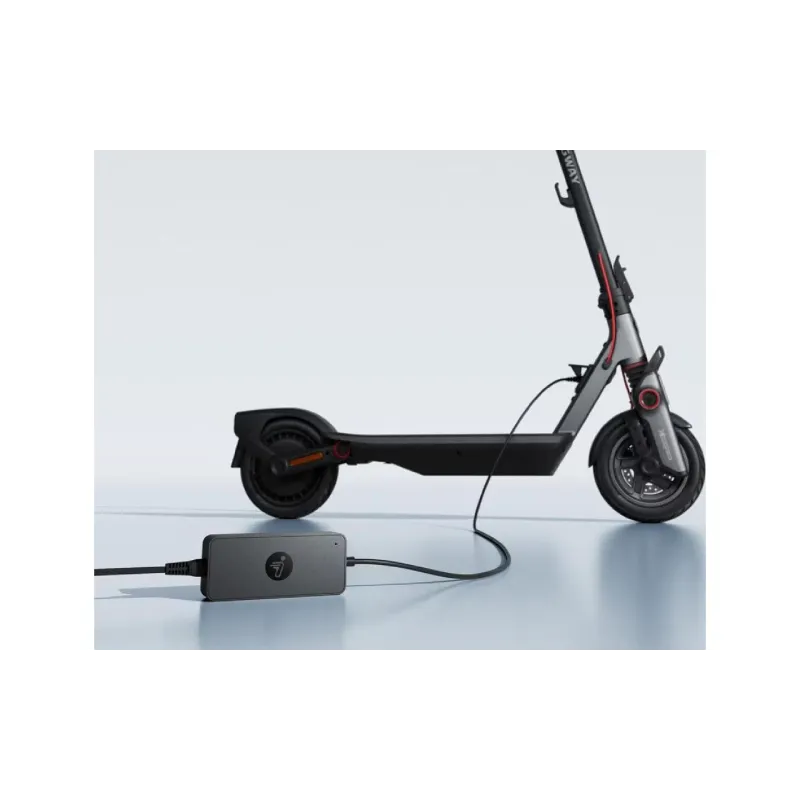 Зарядний пристрій Segway (AD.05.00.13.0018)