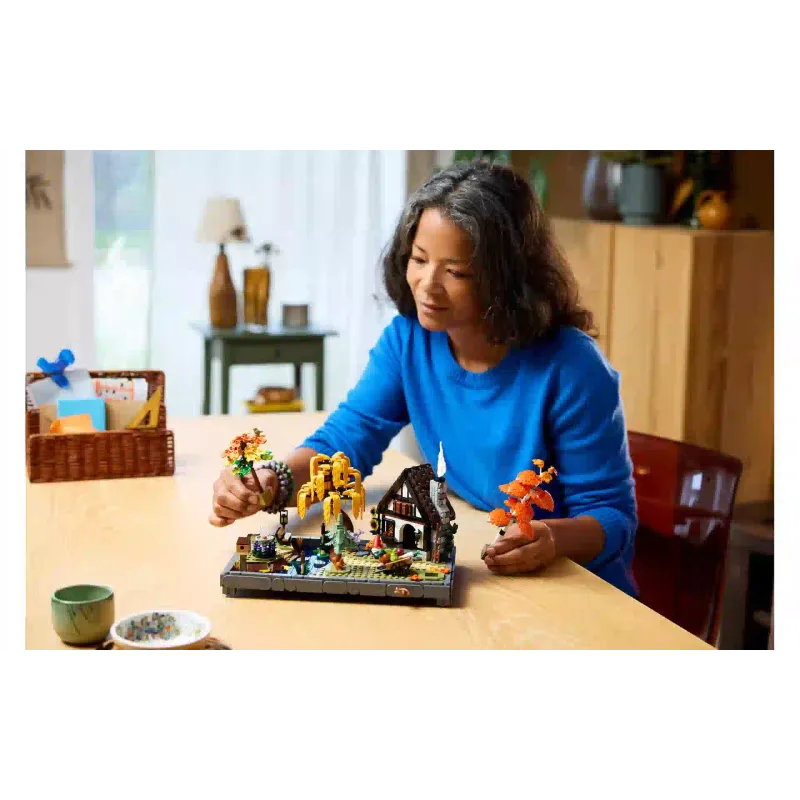 Конструктор LEGO (11372)