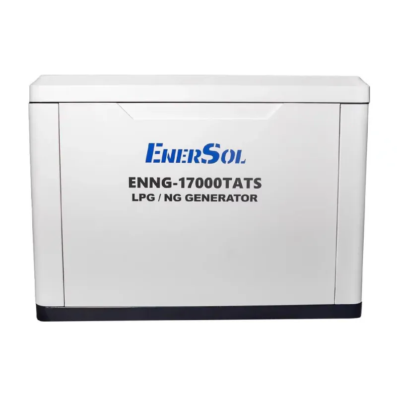 Gasgenerator EnerSol (ENNG-17000TATS)