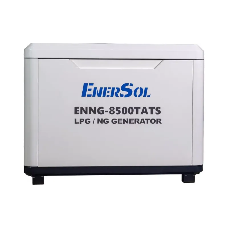 Generador de gas EnerSol (ENNG-8500TATS)