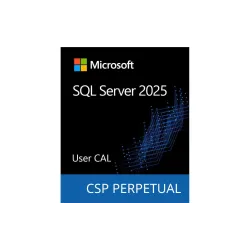 برمجة Microsoft SQL Server 2025 1 User CAL (DG7GMGF0VNHV-0002) برمجة Microsoft SQL Server 2025 1 User CAL (DG7GMGF0VNHV-0002)