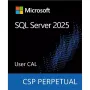 برمجة Microsoft SQL Server 2025 1 User CAL (DG7GMGF0VNHV-0002)