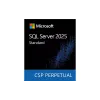 برمجة Microsoft SQL Server 2025 Standard Edition Perpetual 1 Server License, Ice (DG7GMGF0VNJS-0002)