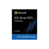 برمجة Microsoft SQL Server 2025 Enterprise Core 2 Core License Pack, Ice (DG7GMGF0VNGX-0006)