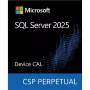 Програмное обеспечение Microsoft SQL Server 2025 1 Device CAL (DG7GMGF0VNHV-0001)