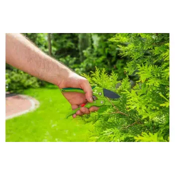 Secateurs Verto (15G205)