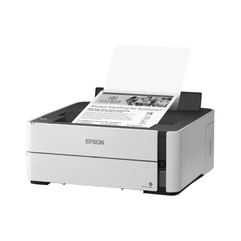 Nyomtató Epson (C11CH44404)