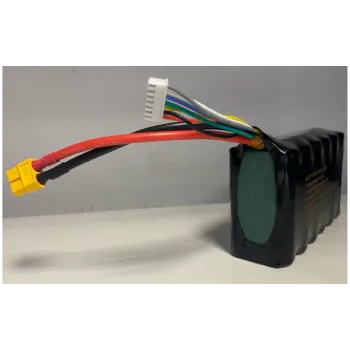 Μονάδα μπαταρίας Westinghouse 6S2P (6S2P INR21700-4000)