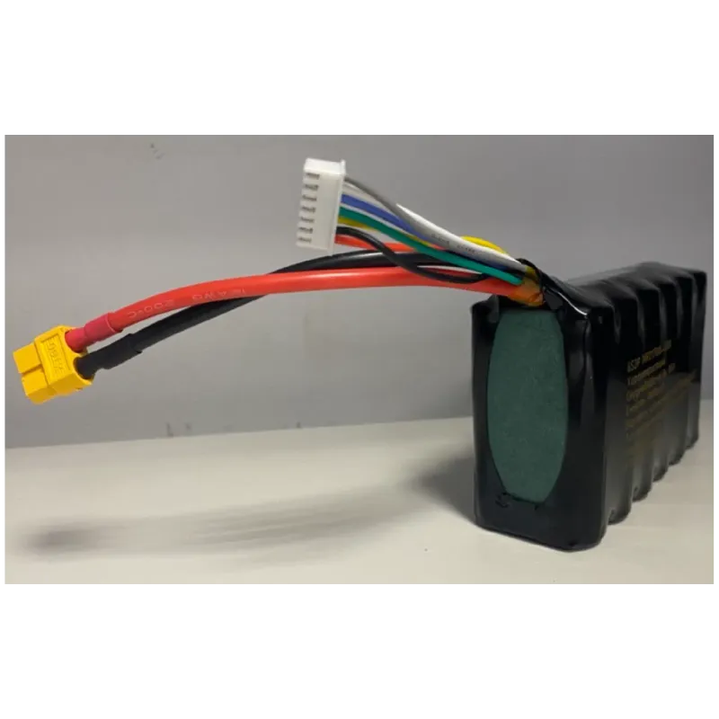 Batteriemodul Westinghouse 6S2P (6S2P INR21700-4000)