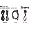 Дисплей Iiyama/IPS  (LH6565UHSB-B1)