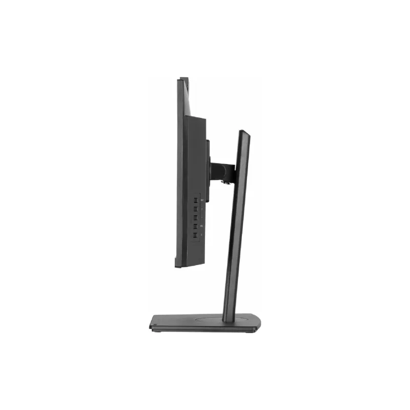 Монітор Iiyama/IPS  (XUB2490HSUH-B2)