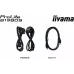 Monitor Iiyama 19" SXGA  (B1980S-B1)