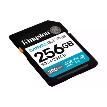 Карта пам'яті Kingston 256Gb (SDG4/256GB)