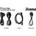 شاشة عرض تفاعلية Iiyama (T4329AS-B1AG)