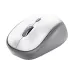 Rato Trust (25513_TRUST)