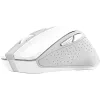 Rato Trust (25550_TRUST)
