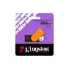 USB устройство Kingston (DTXS/256GB)