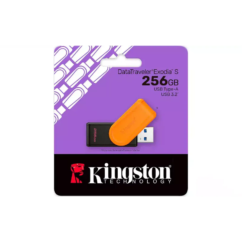 USB устройство Kingston (DTXS/256GB)