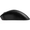 Maus Zowie Gaming, Black (9H.N4WBE.A2E)