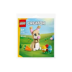 Construtor LEGO  (30716)