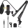 Professional microphone for singing Puluz (PU612B)
