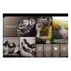 Smart watch Mibro GS Explorer S 1.32" /BT 5.3 Titan (XPAW023FT)
