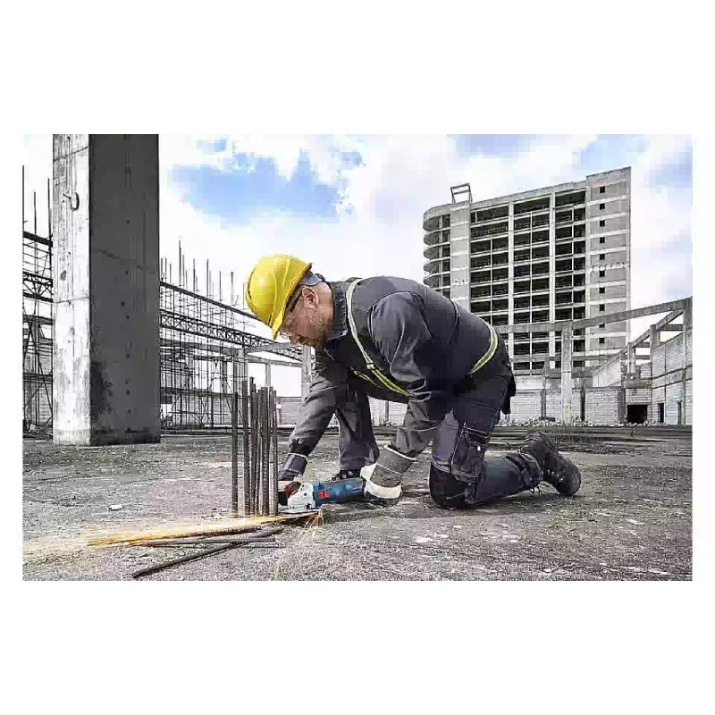 آلة طحن Bosch (0.601.9N4.000)