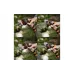 Pistola de rega Sequoia (SWPSN9P)