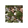 مسدس الري Sequoia (SWPSN8)