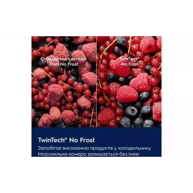 Hladilnik Electrolux, White (ENS6TE19S)