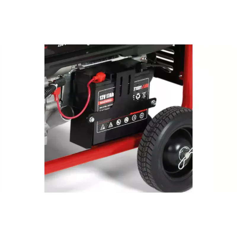 Генератор бензиновый Einhell, 3.3/8 кВт, 1/3 фазы, АВР, электростартер (4152640)