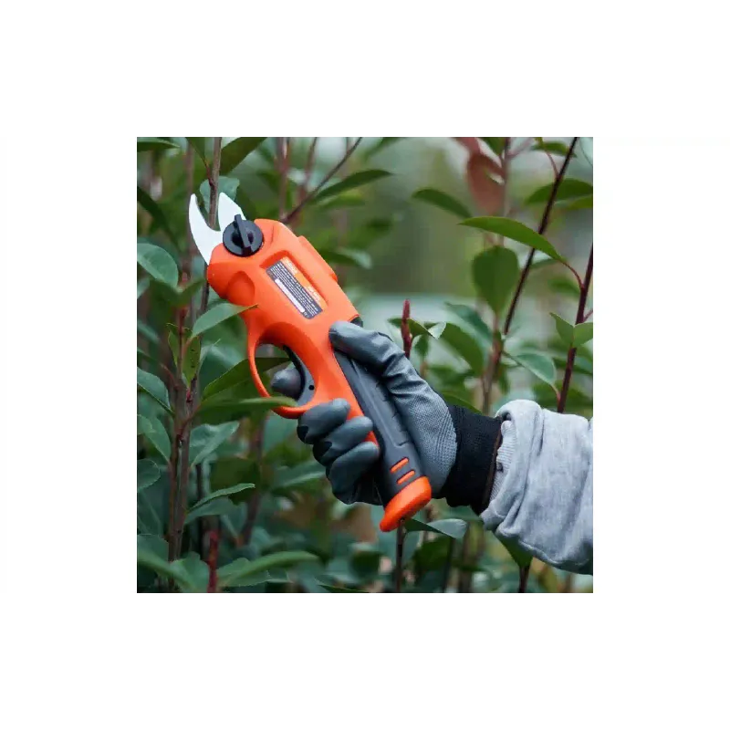 Secateurs Sequoia (SBP3610C)