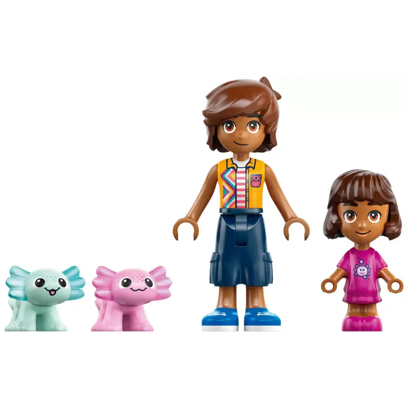 Constructor LEGO (42681)