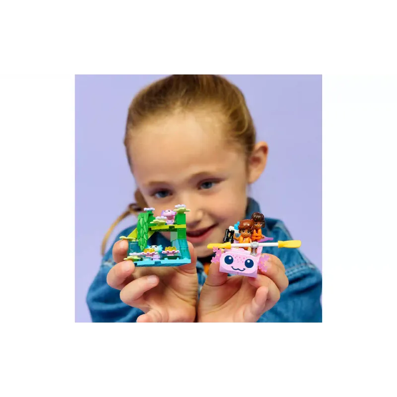 Constructor LEGO (42681)