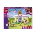Construtor LEGO (42679)