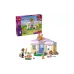 Construtor LEGO (42679)