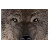 brinquedo de luva Same Toy (X318UT)