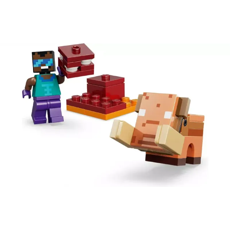 منشئ LEGO (21584)