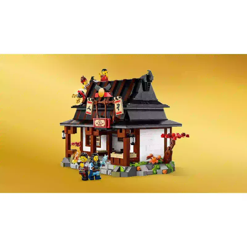 Construtor LEGO (71858)