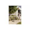 Прахосмукачка Karcher WD 3 V-17/4/20 (1.628-130.0)