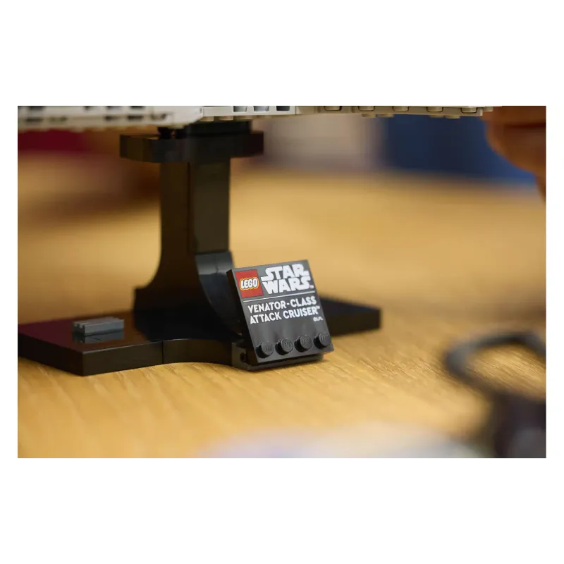 Construtor LEGO (75441-)