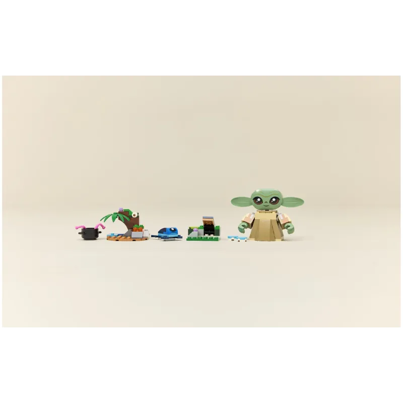 Construtor LEGO (75443)