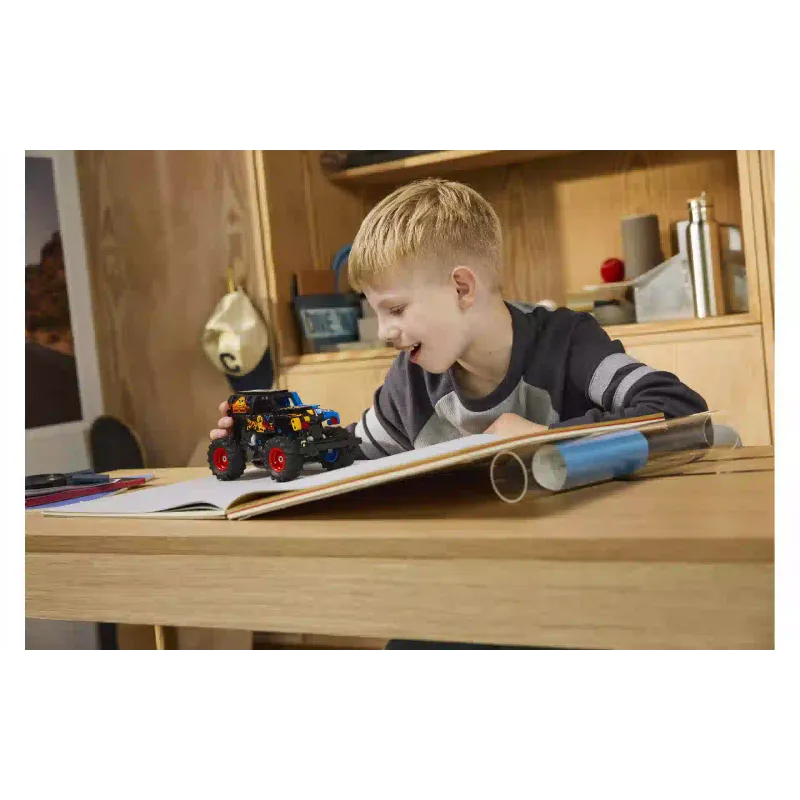 Конструктор LEGO (42219)