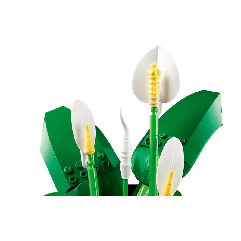 Construtor LEGO (11504)
