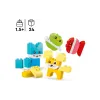 Construtor LEGO (10477-)