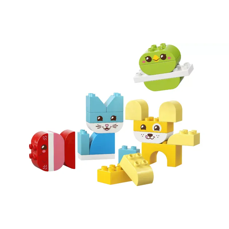 Construtor LEGO (10477-)