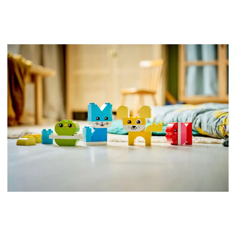 Construtor LEGO (10477-)