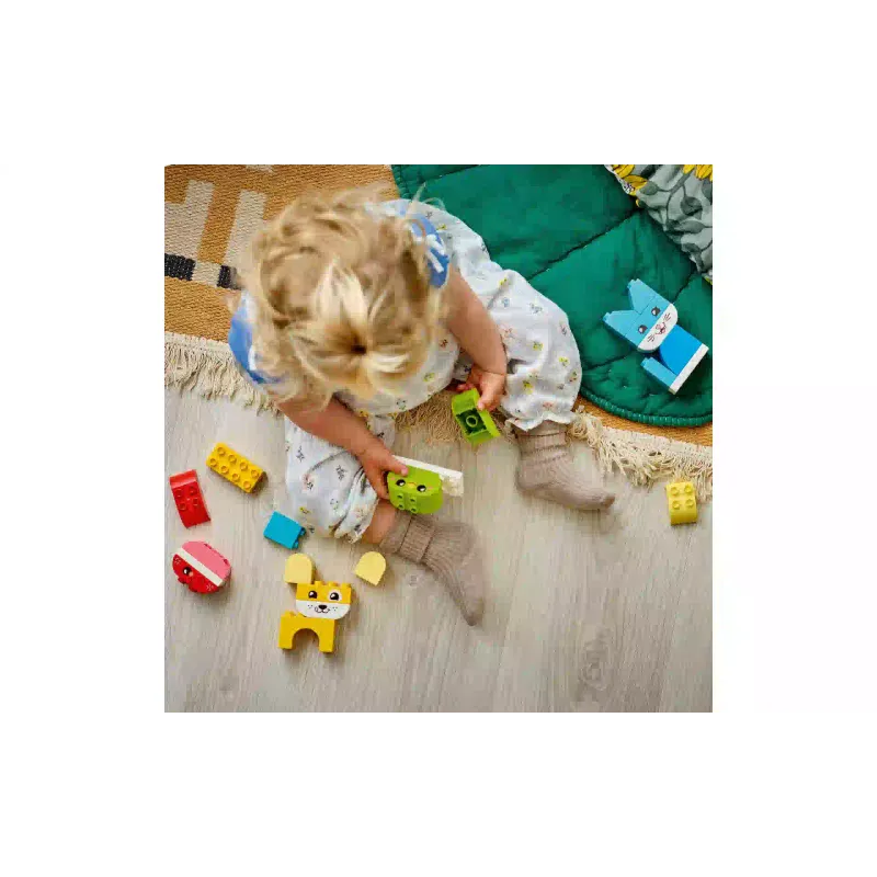 Construtor LEGO (10477-)