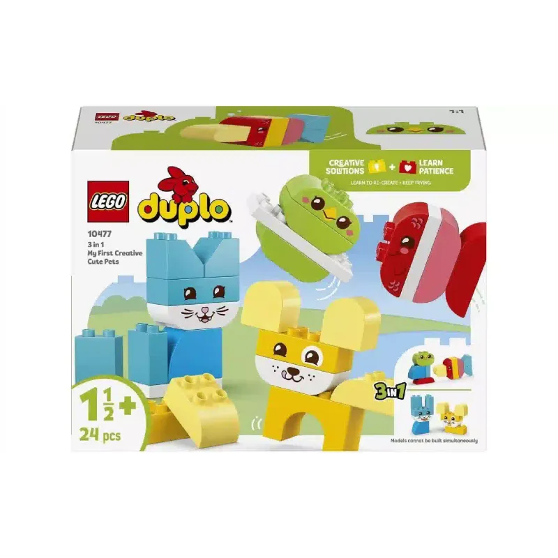Construtor LEGO (10477-)