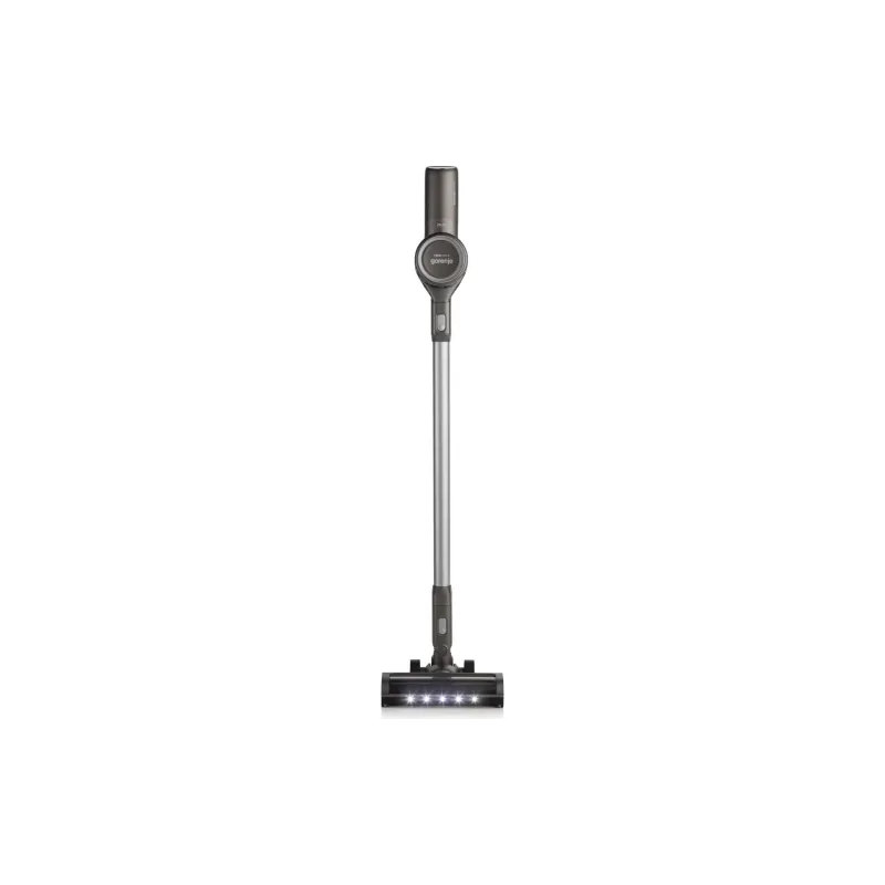Vacuum cleaner Gorenje (SVC252420FFA), 500 ml, 95 W, Anthracite